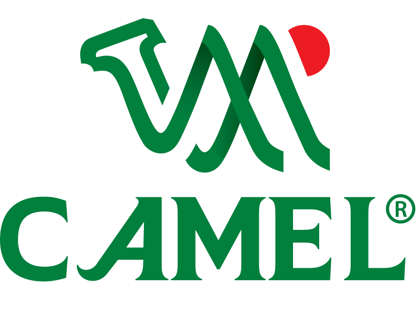 CỔ PHẦN BIA QUỐC TẾ CAMEL logo