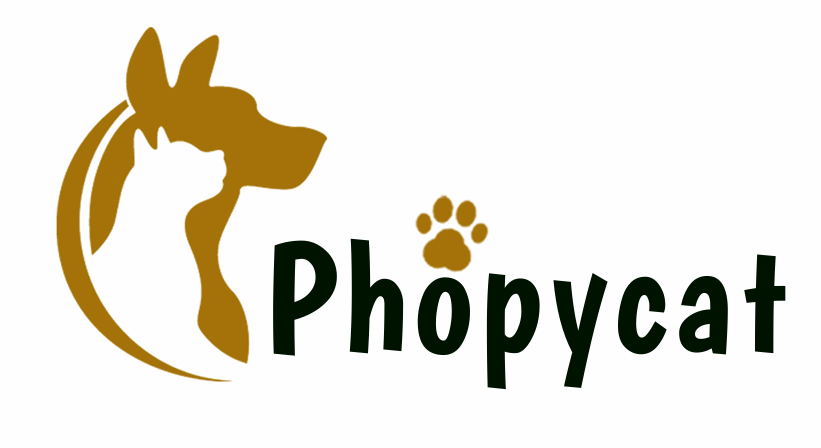 Lovepets