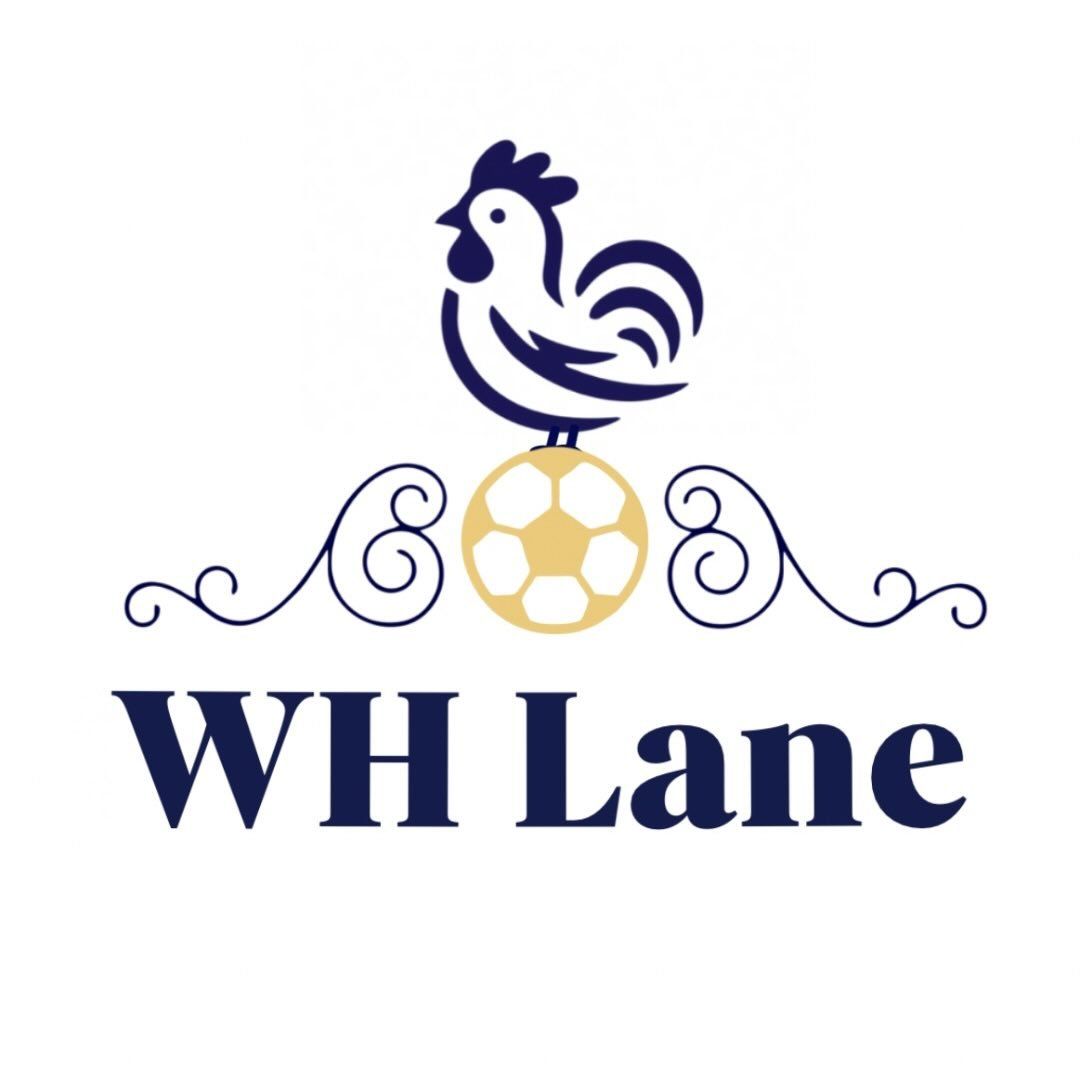 Wh Lane Mini Soccer