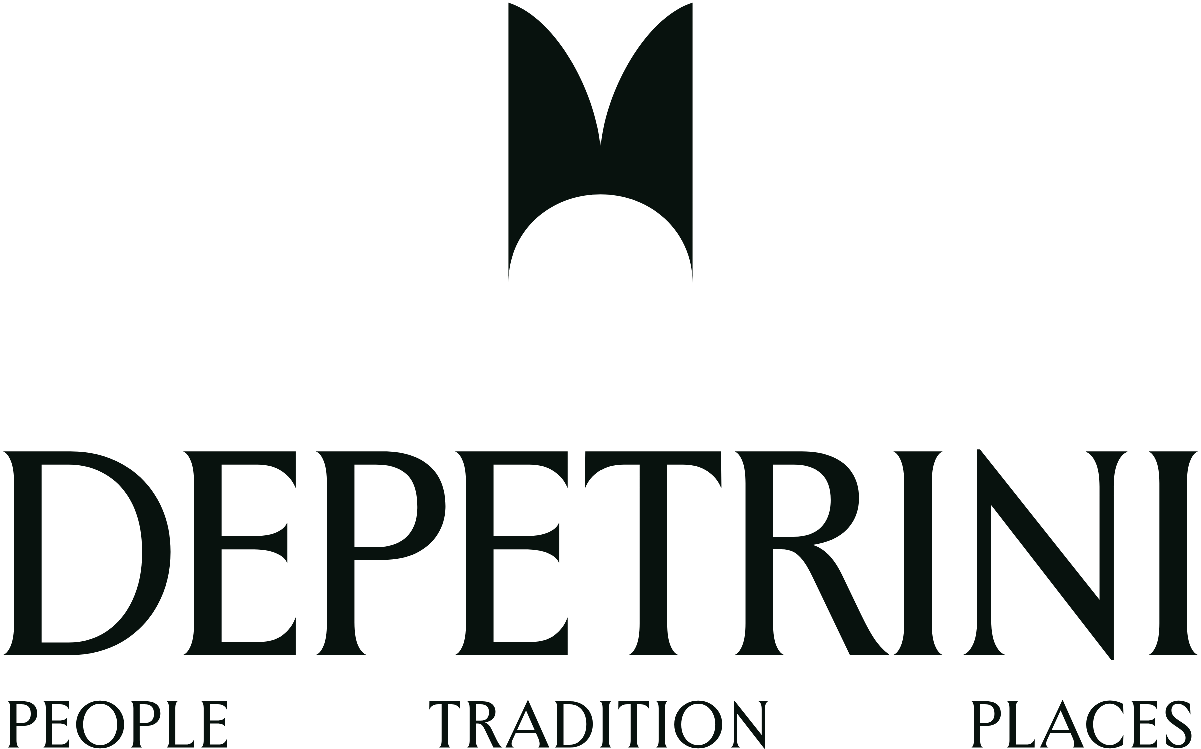 Depetrini Ltd logo