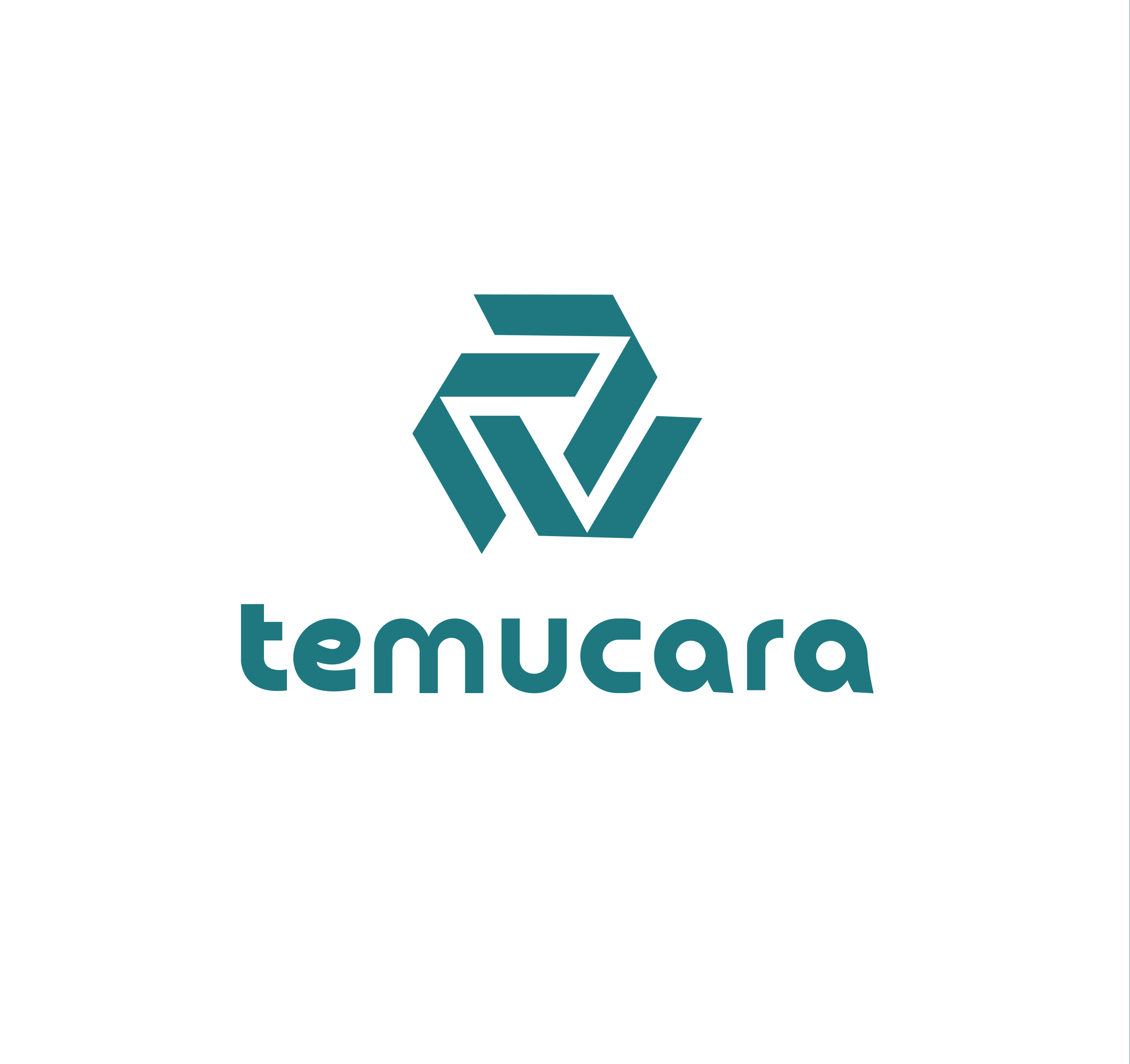 PT. Temucara Solusi Bisnis
