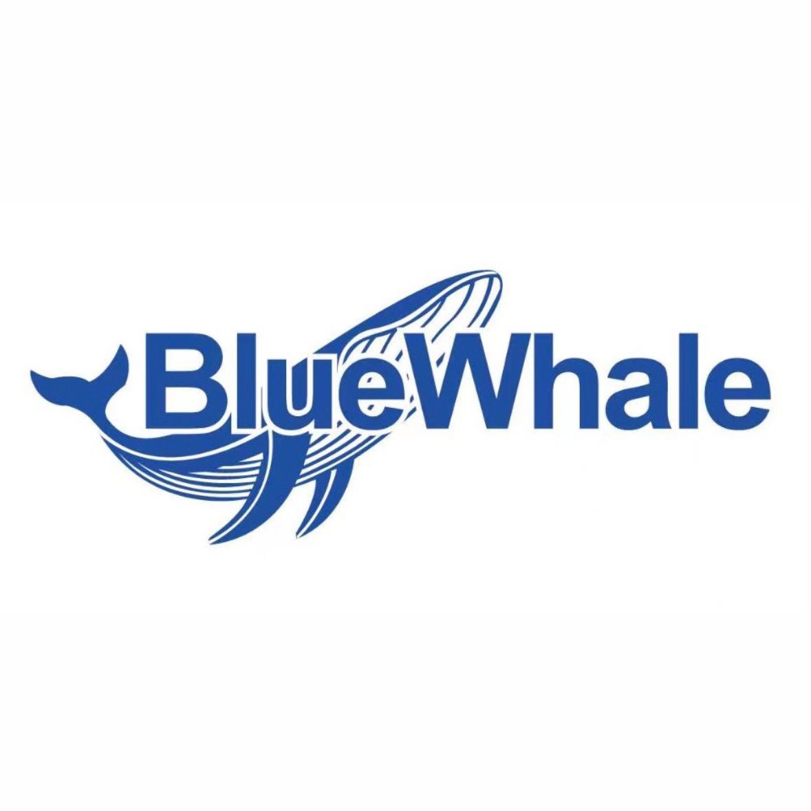 PT Bluewhale Media Indonesia