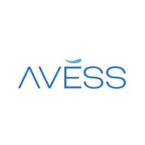PT. AVESS INVASI TEKNOLOGI