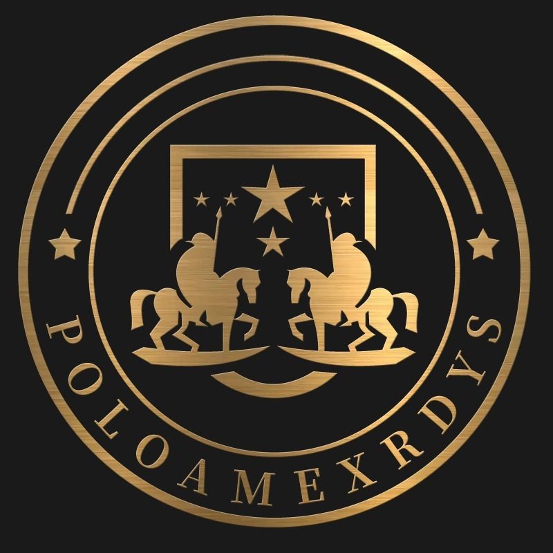 Poloamexrdys E-commerce logo