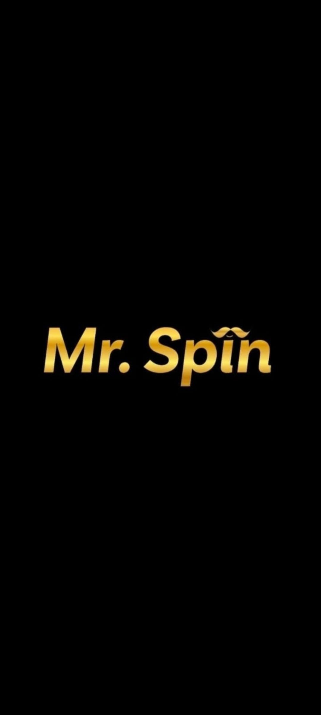 PT Mister Spin Indonesia
