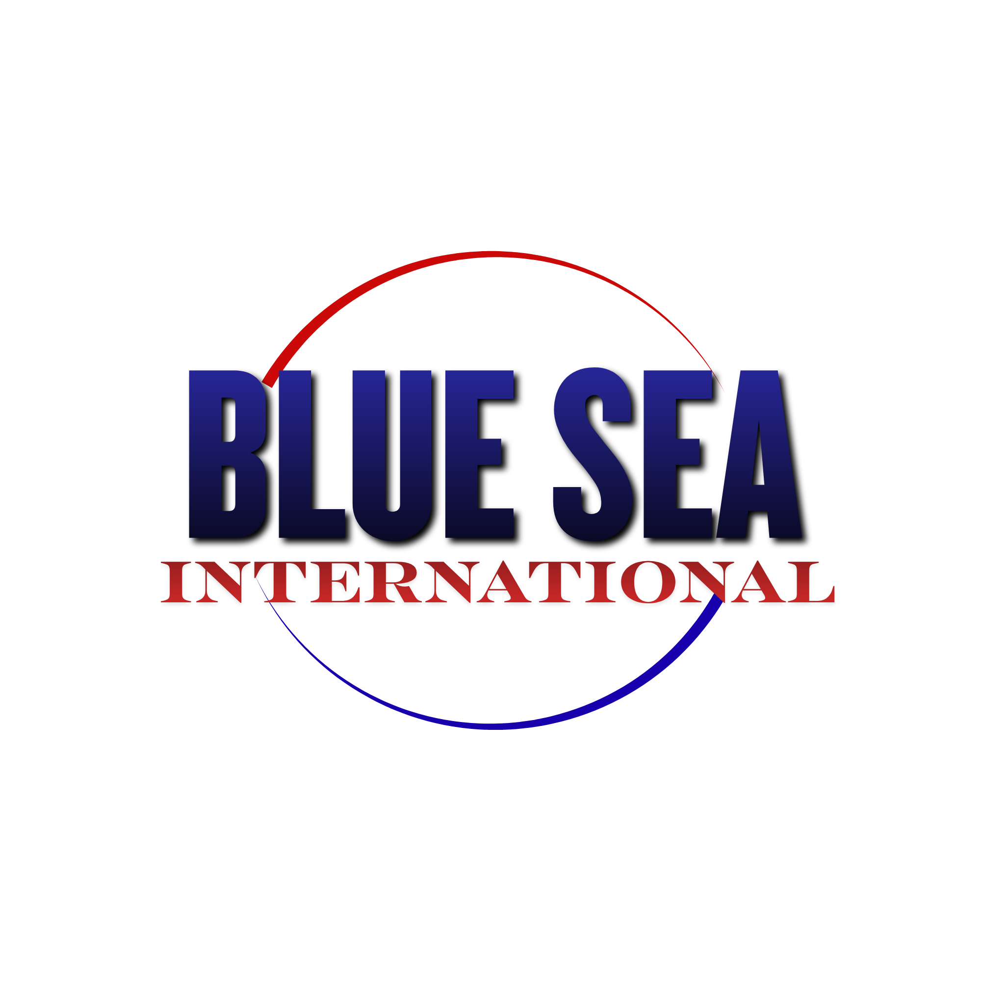 PT Blue Sea International (Agency MSM International)