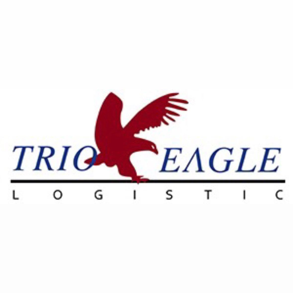 PT Trio Eagle Logistic
