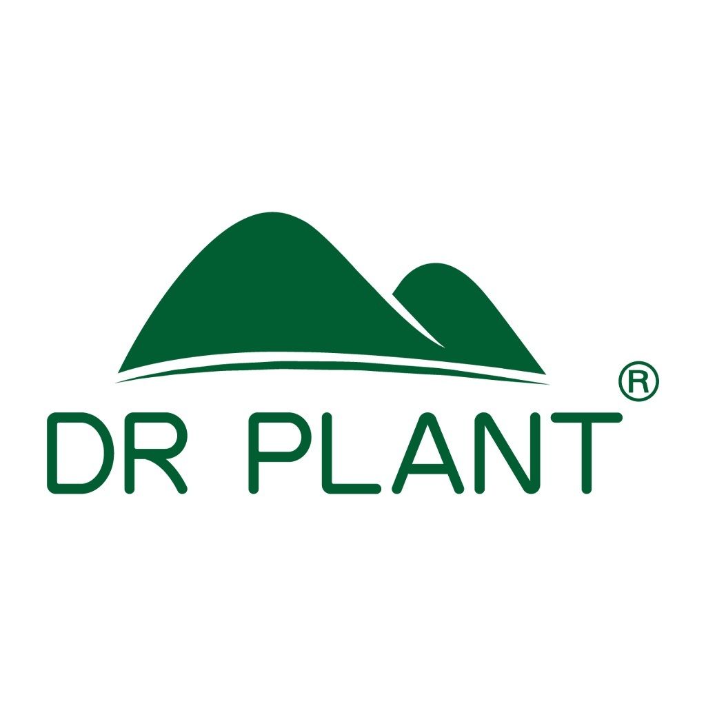 Dr Plant