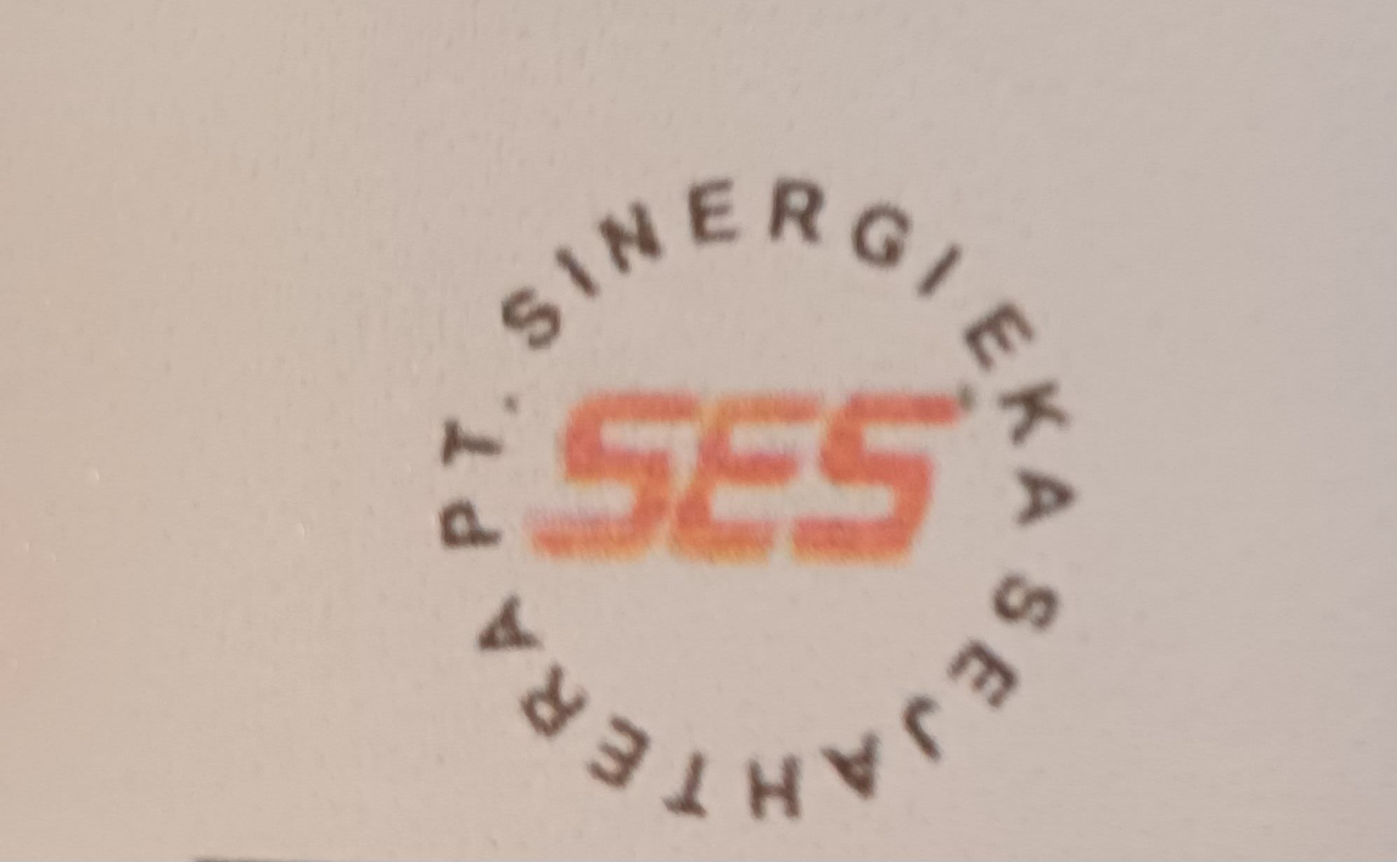 PT Sinergi Eka Sejahtera