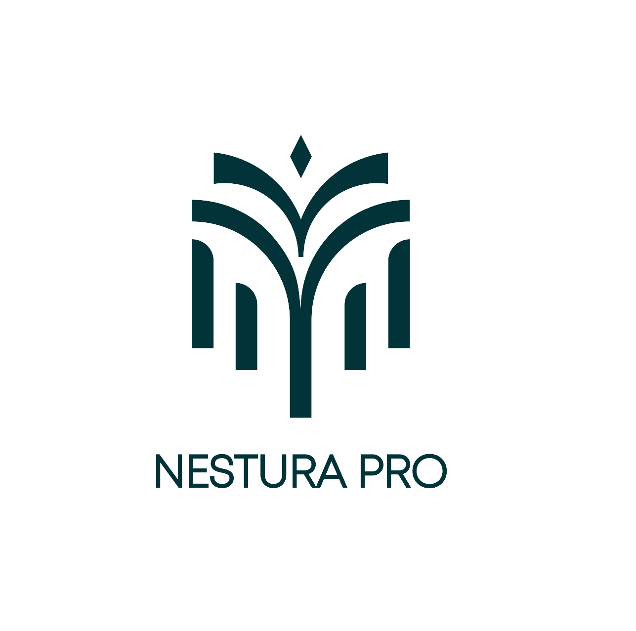 Nestura Pro logo