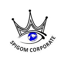 CV SPIRIT GLOBAL MANAGEMENT