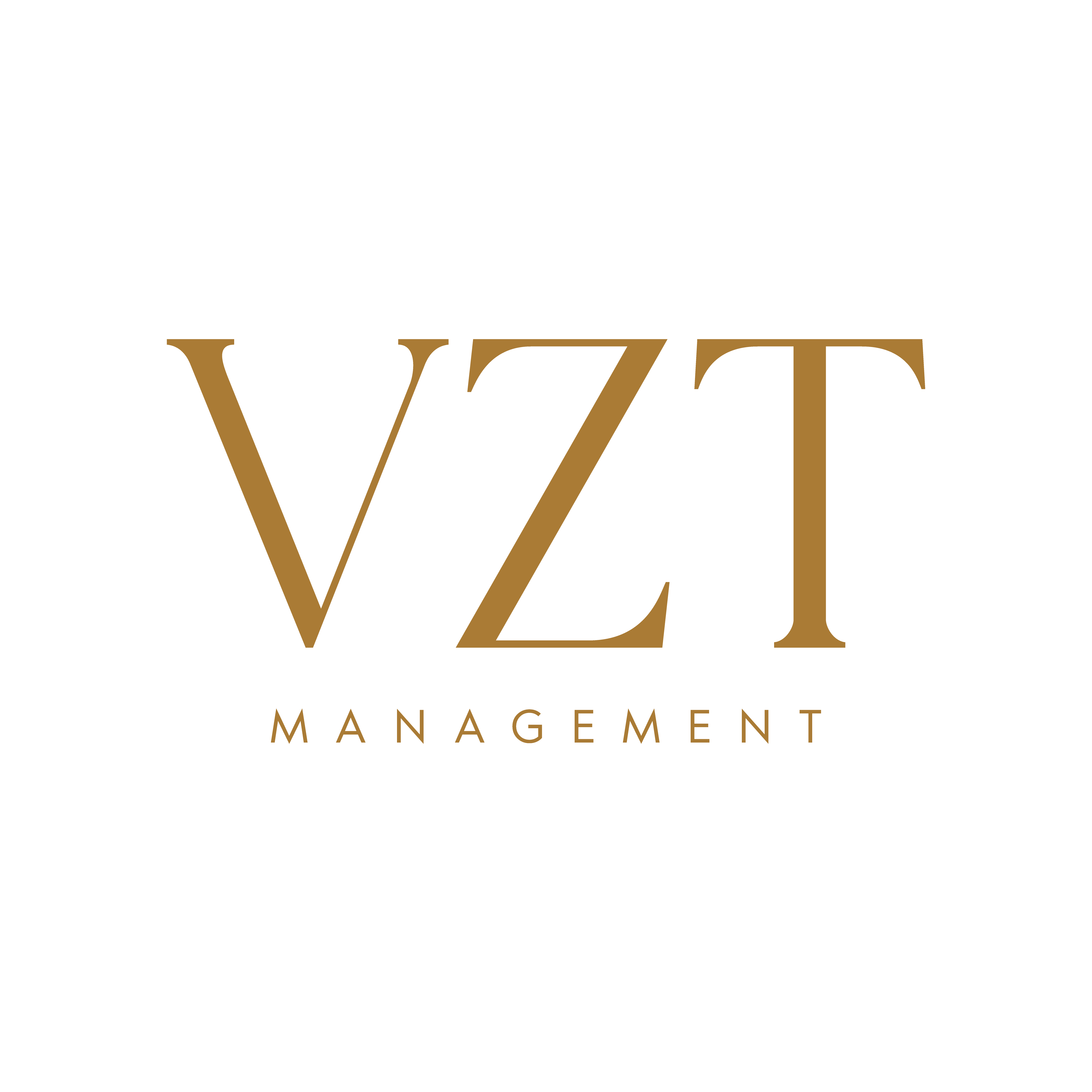 Vazati Management logo