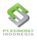 PT. Exinergy Indonesia logo