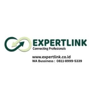 Expertlink logo