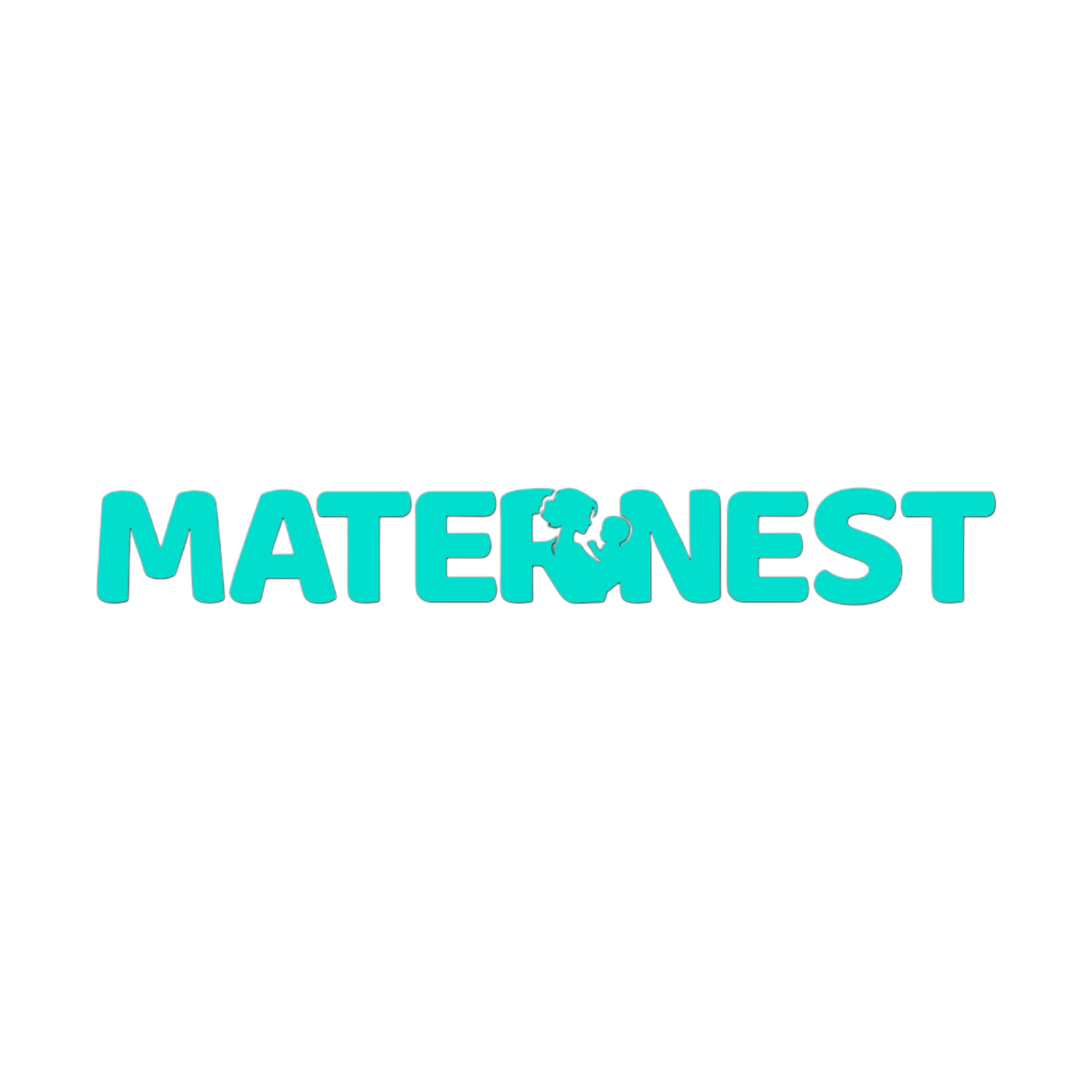 CV MATERNEST INDONESIA