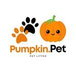 Pumpkin Pet