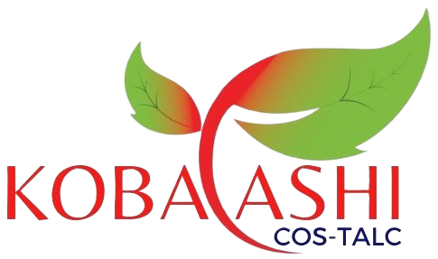 PT Kobayashi Costalc Indonesia