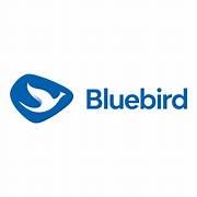 Bluebird Pool Ciputat