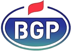PT BGP INDONESIA