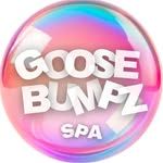 Goosebumz Sensory Spa