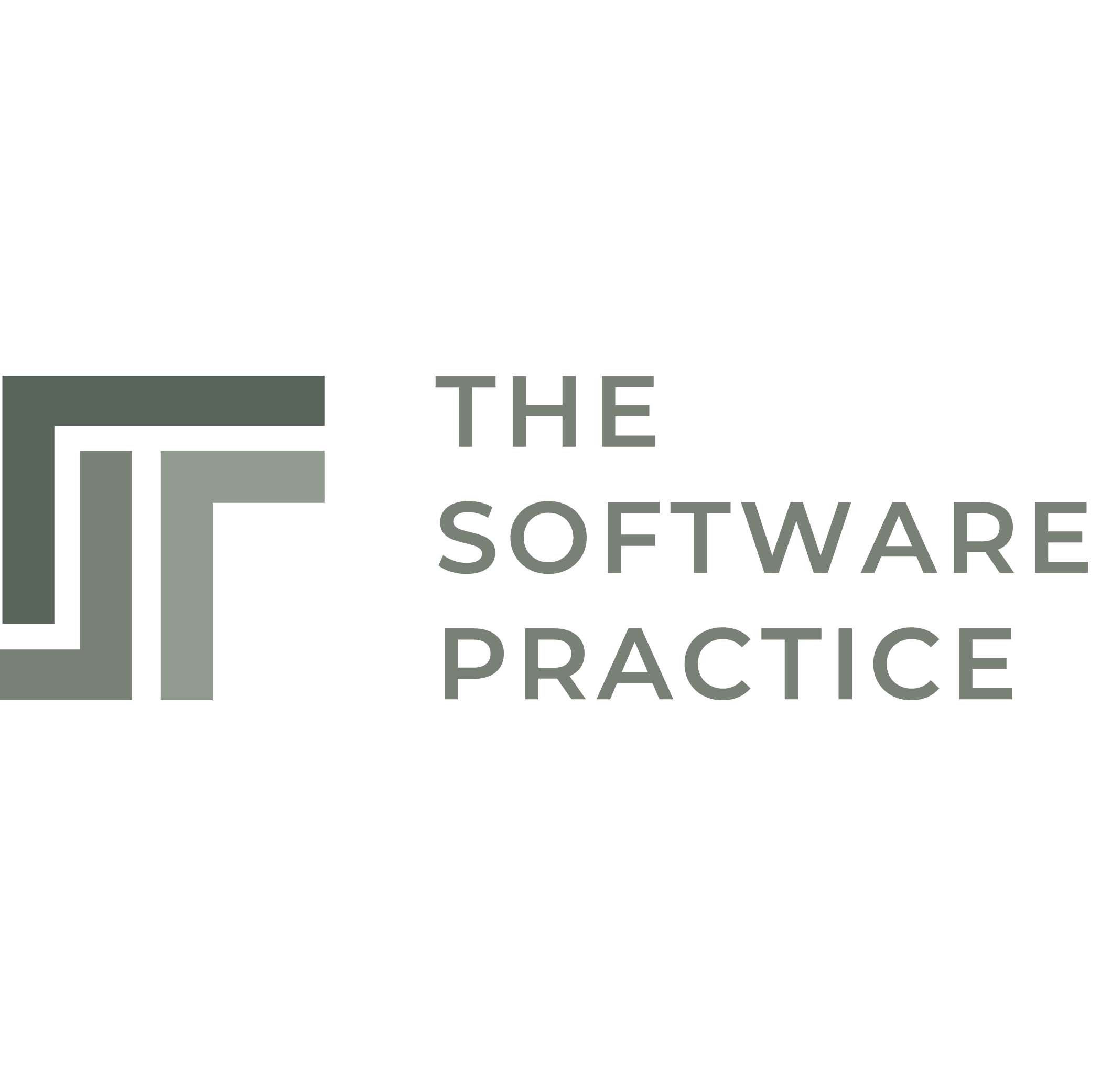 The Software Practice