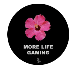 More Life Gaming