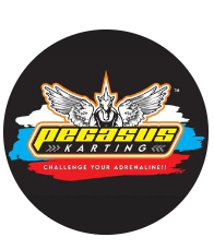 Pegasus Karting