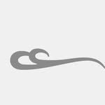 Indiana Kenanga logo