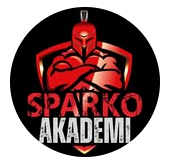 Sparko Academy