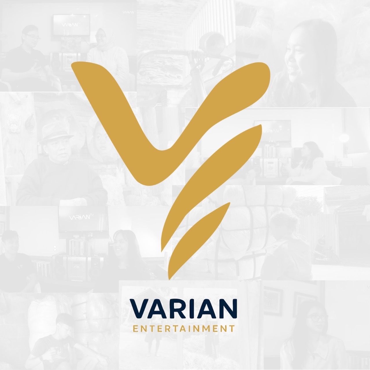 Varian Entertainment logo
