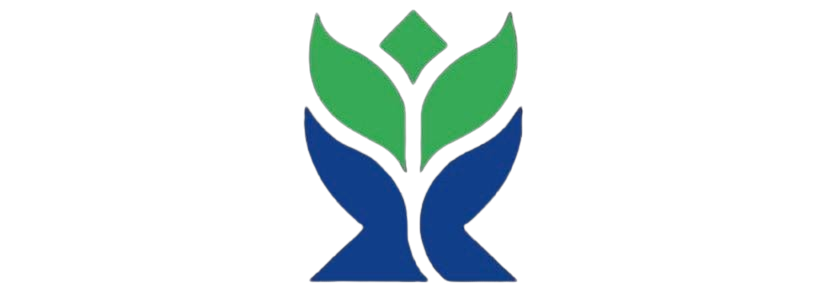 QIXUAN NEW MATERIAL