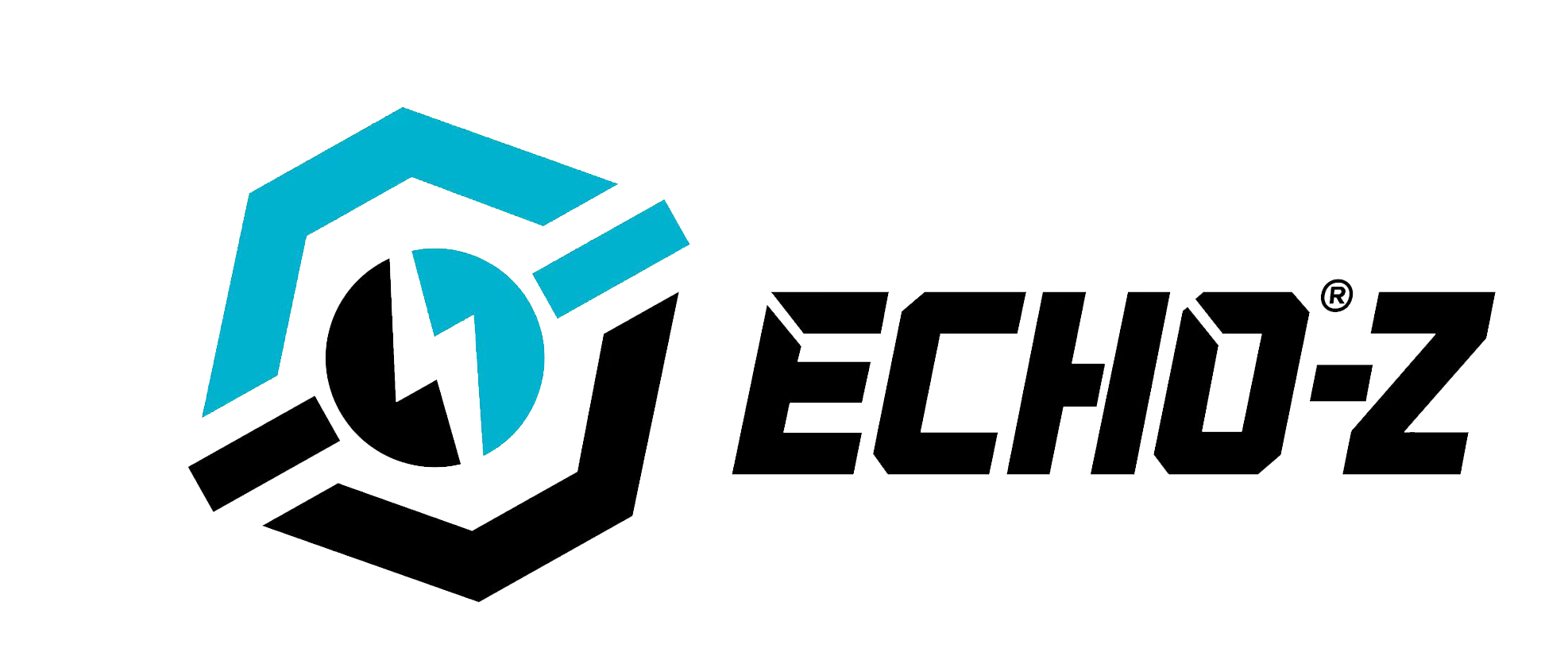 PT ECHO ZEN INDONESIA