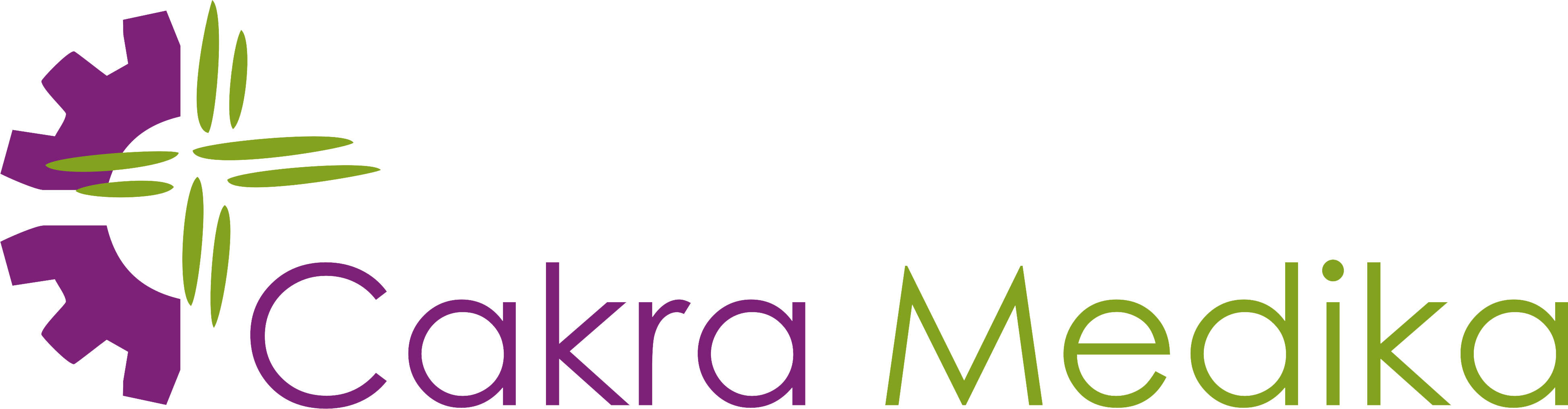PT Cakra Mitra Sentosa