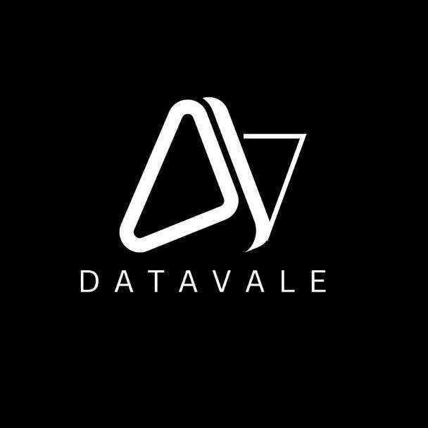 DataVale AI