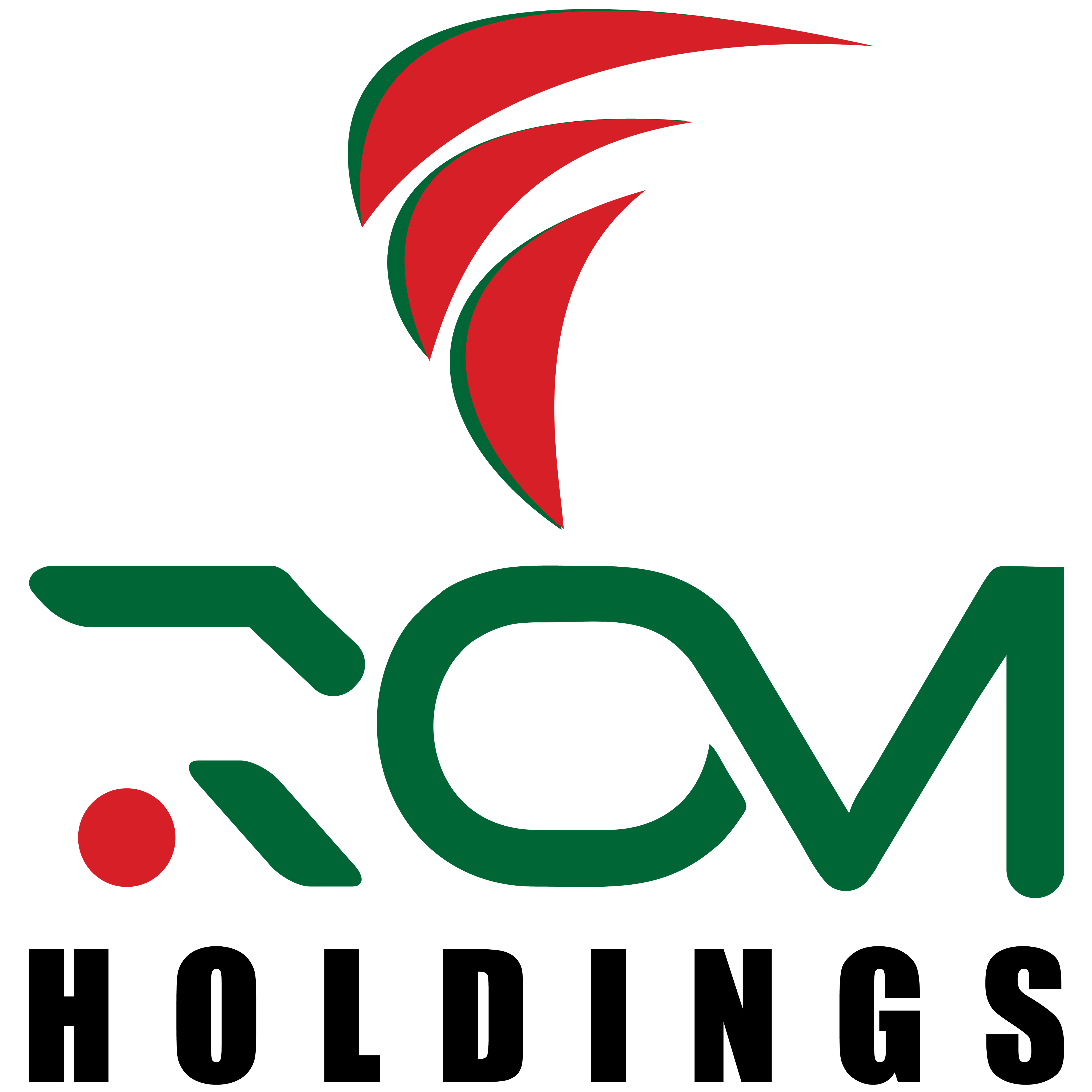 CÔNG TY CỔ PHẦN ĐẦU TƯ ROVI HOLDINGS