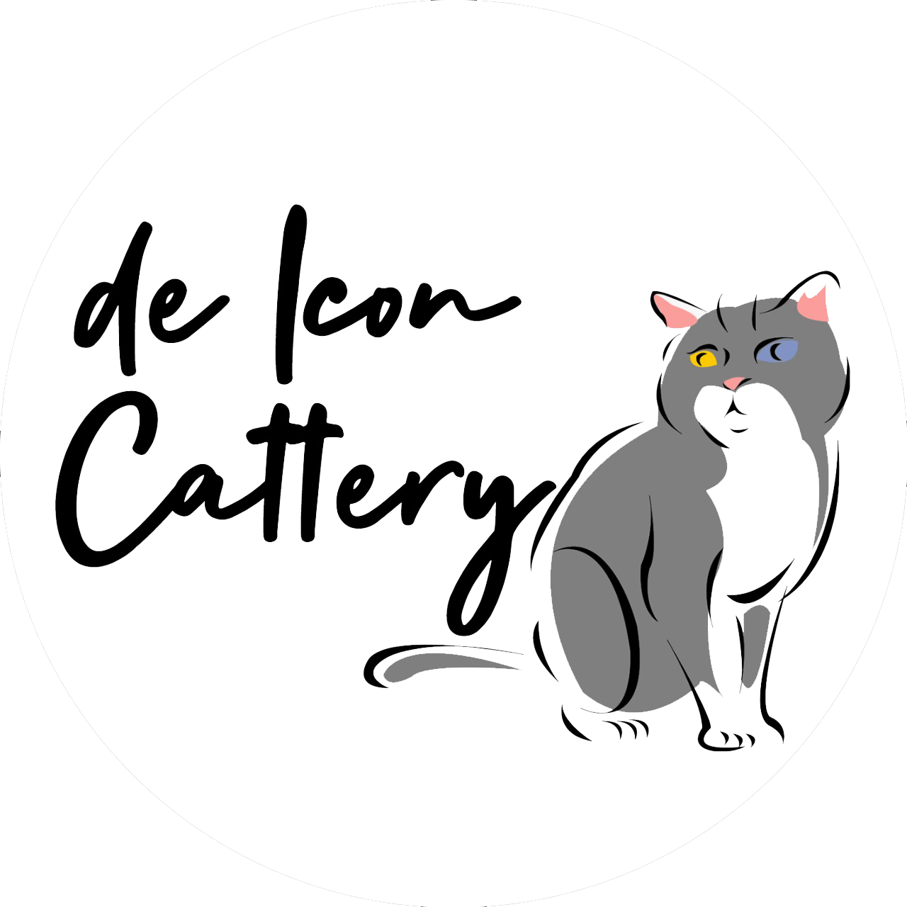 Deicon Cattery