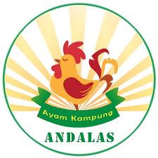 Ayam Kampung Andalas