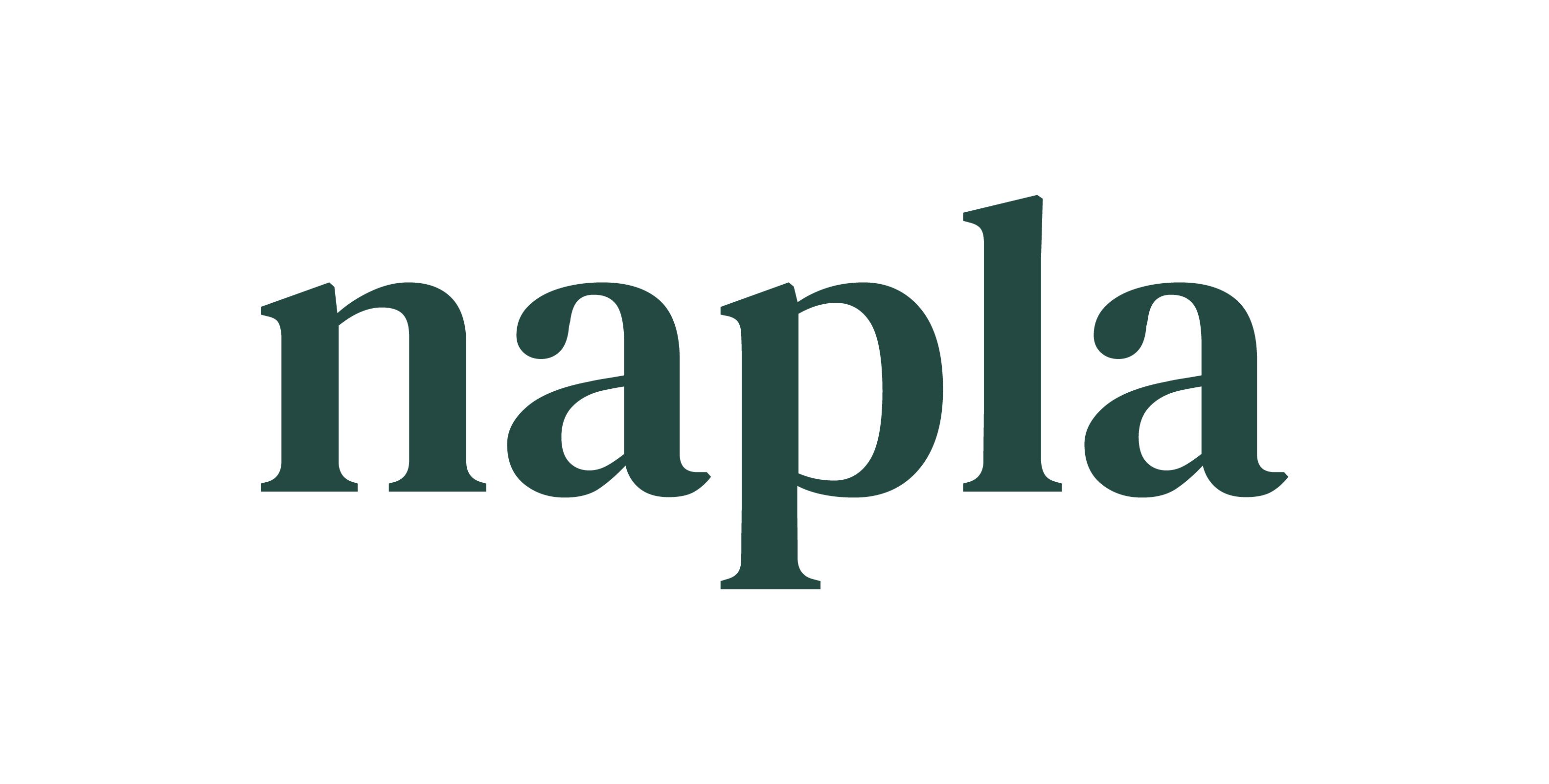 CV. Napla Indonesia logo