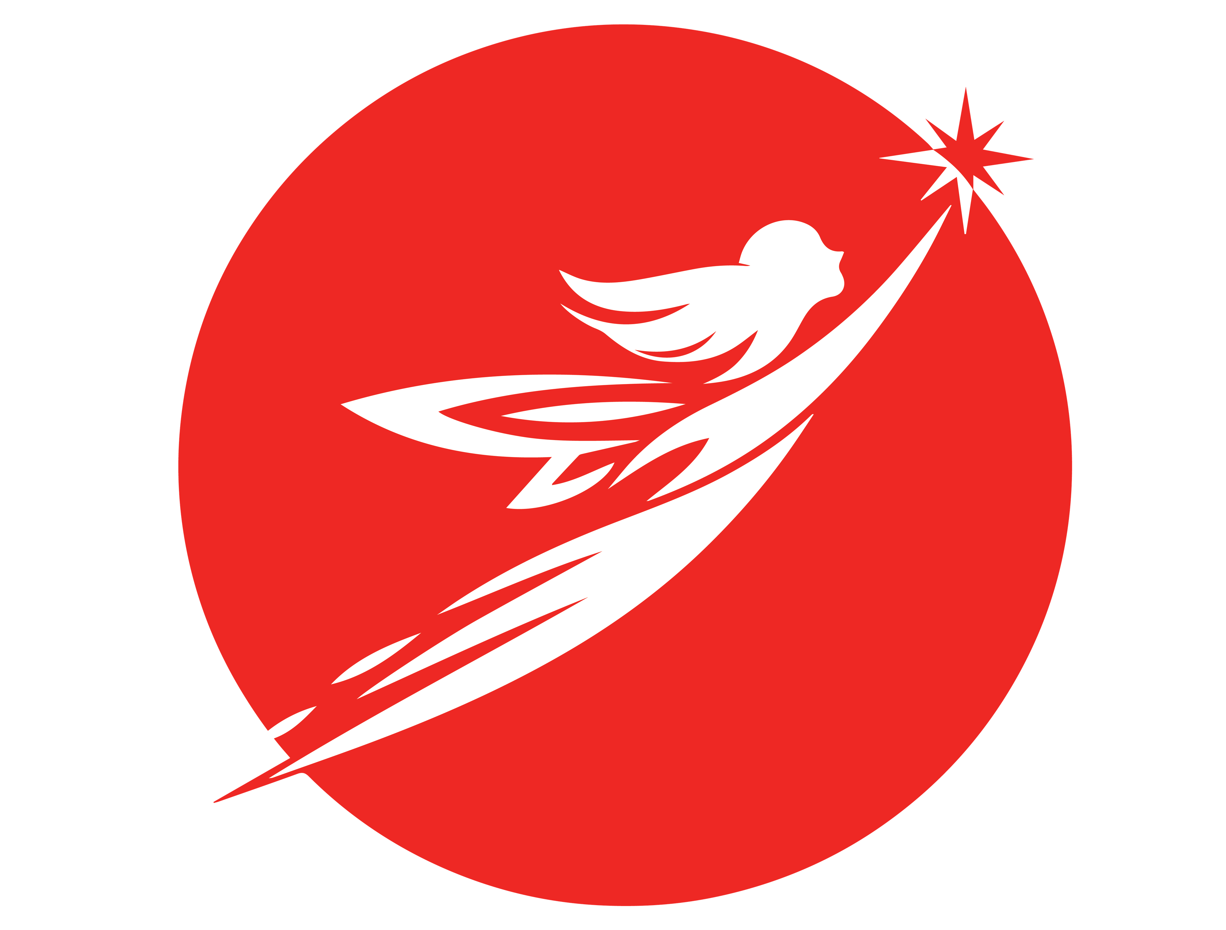 FLYUP ENGINE INTERNATIONAL logo