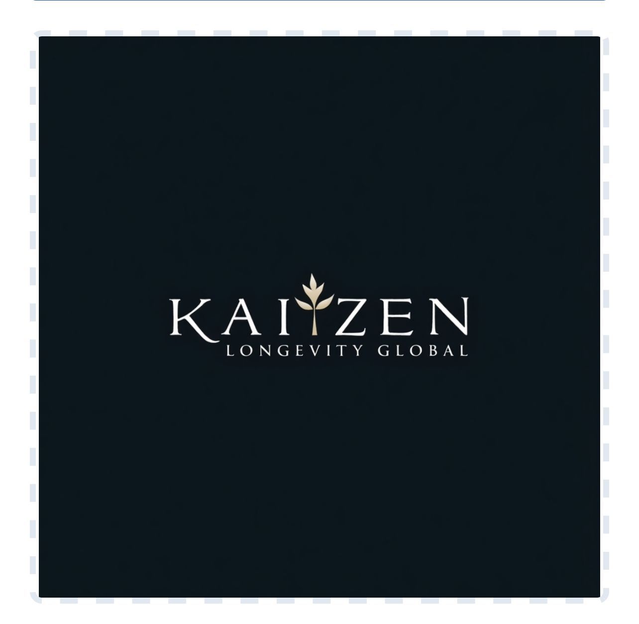KAIZEN HEALTH AND BEAUTY PTE. LTD.
