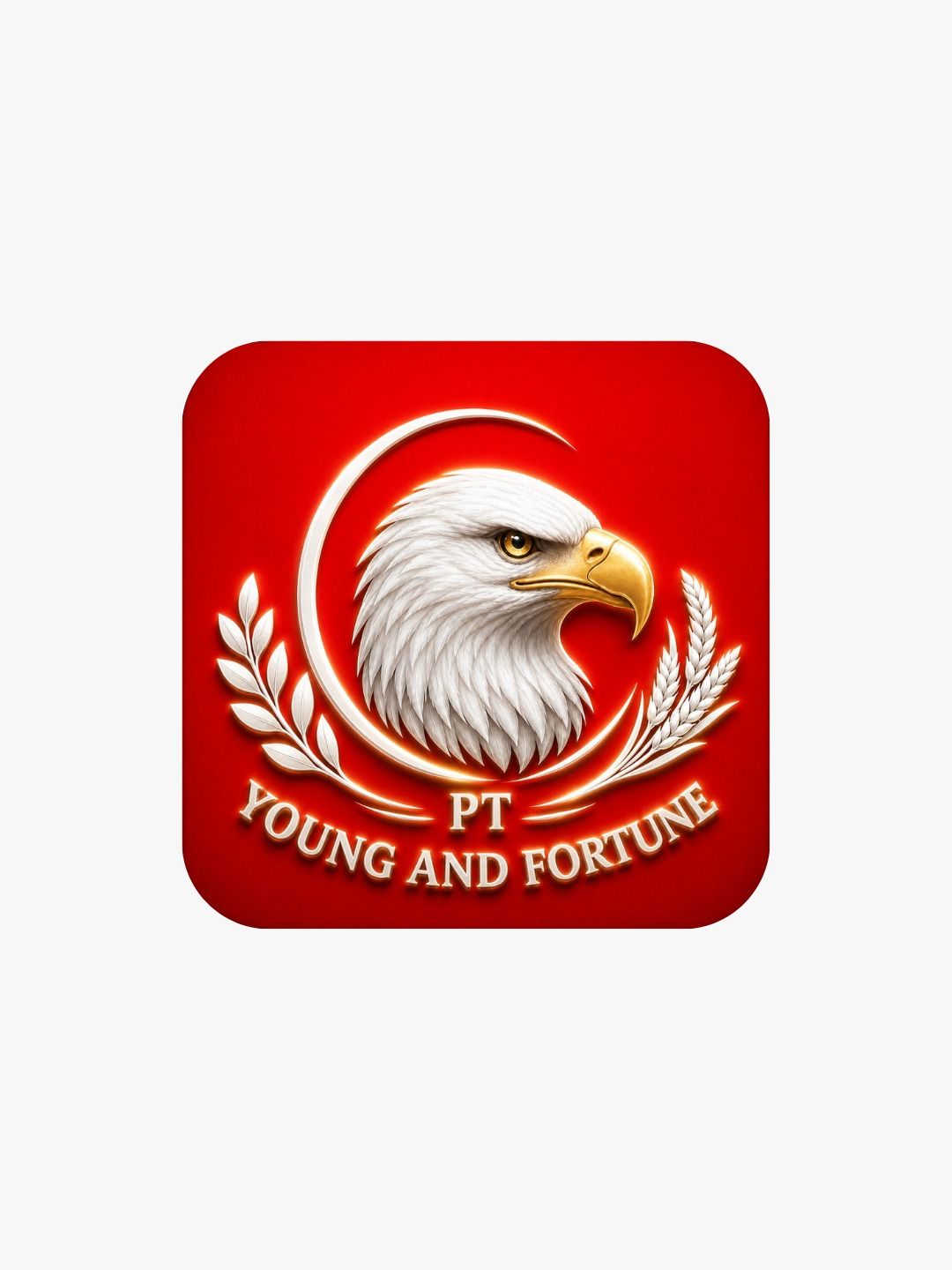 PT. Young and Fortune