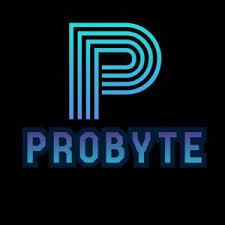 Probyte Agency
