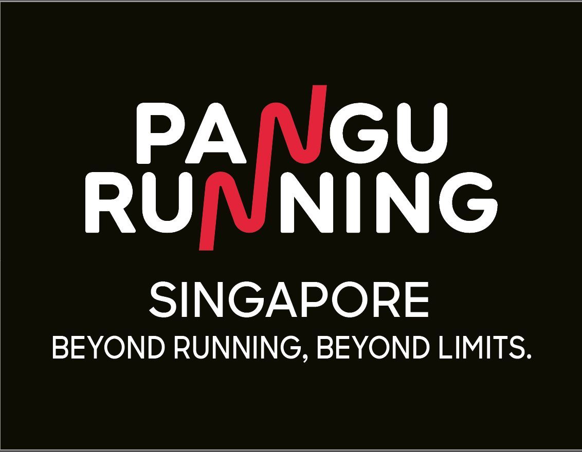 Pangu (SG) Pte Ltd