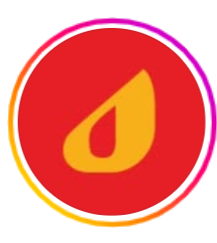 Nestetika Studio