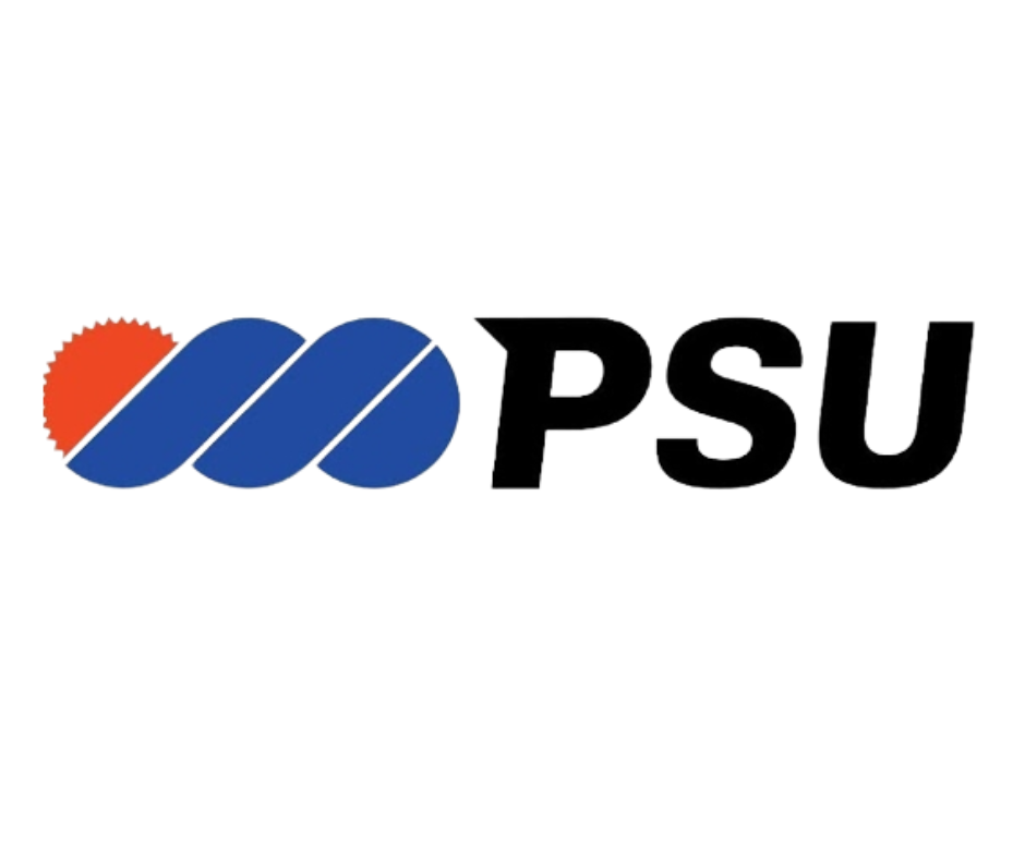 PT. Putera Sarana Usaha