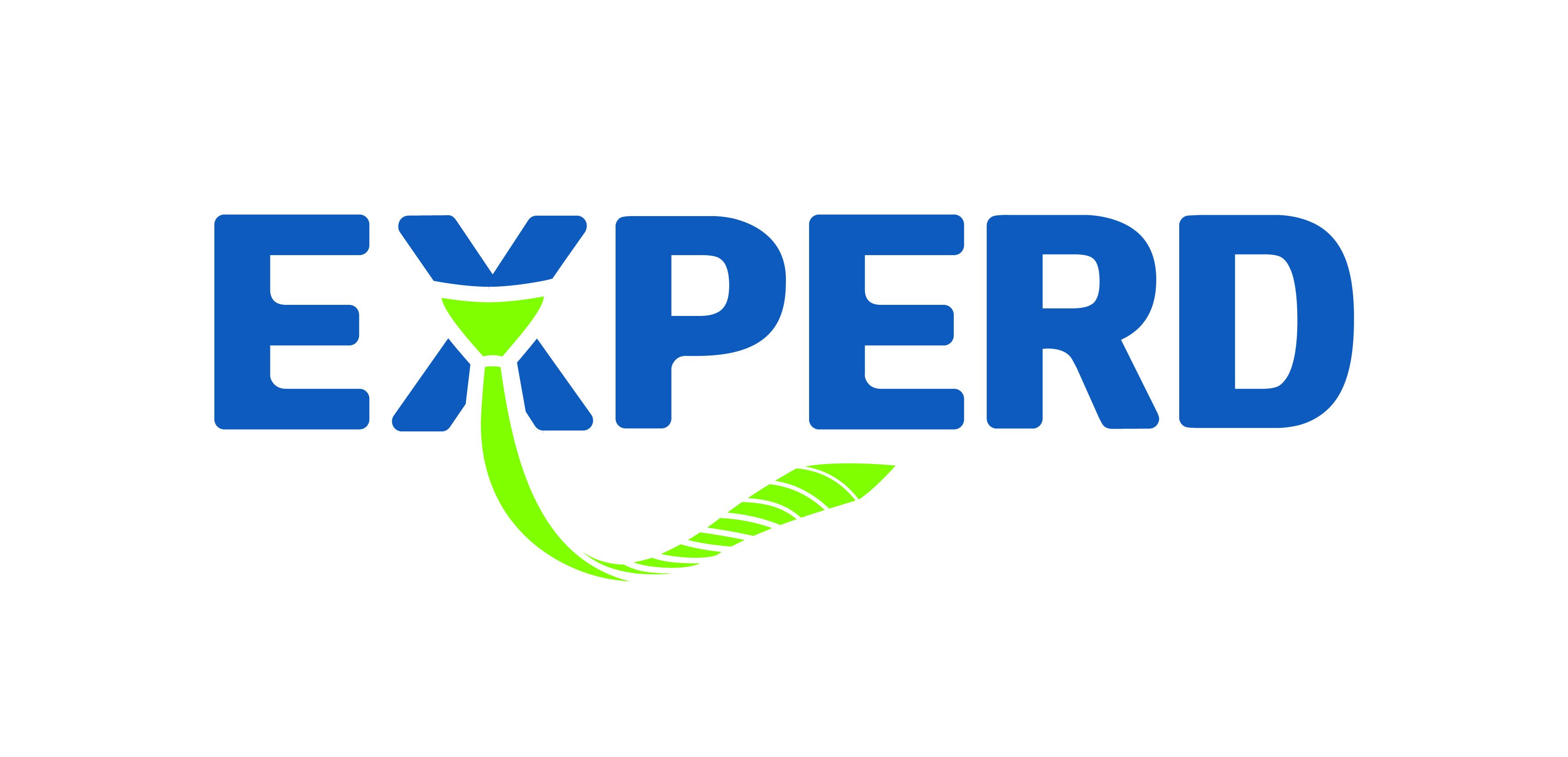 Experd Consultant logo