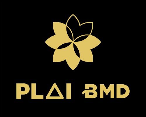 Politeknik Artificial Intelligence BMD