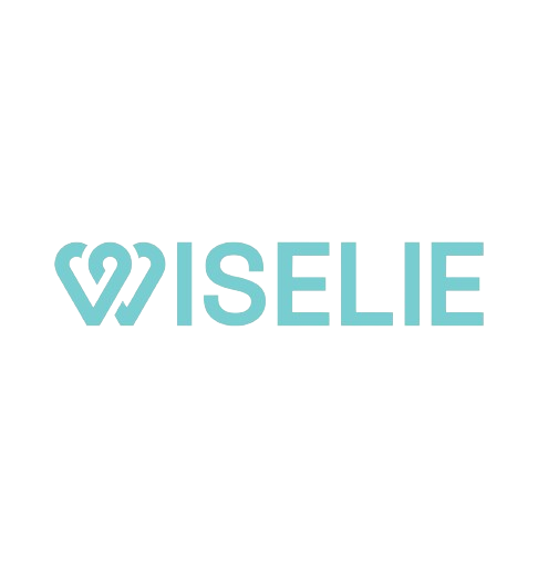 PT. Wiselie Indonesia