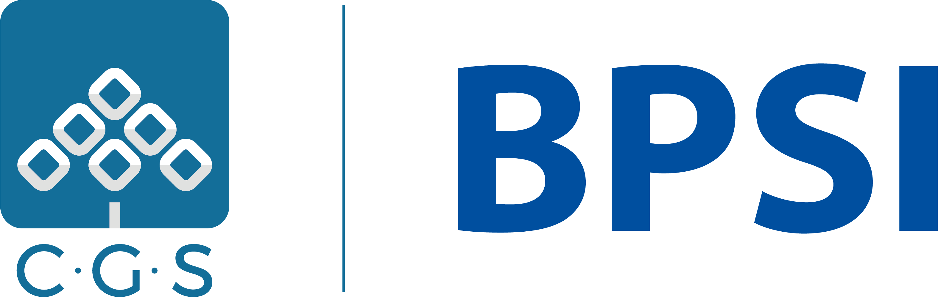 PT. Bright Properti Servis Indonesia
