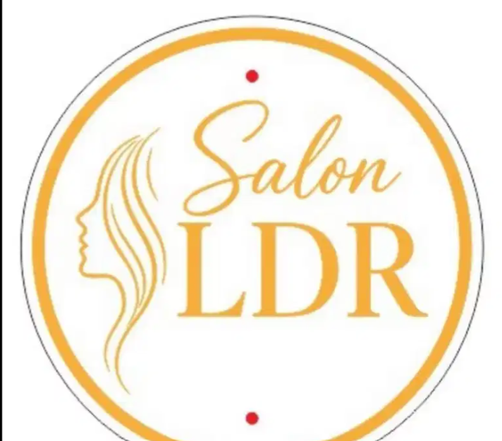 LDR SALON LAMPUNG logo
